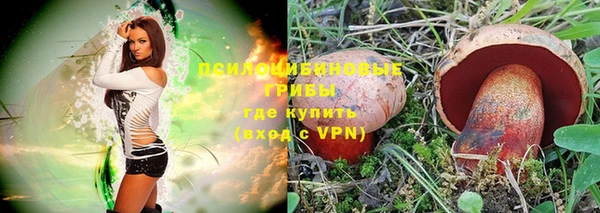 Альфа ПВП Волосово