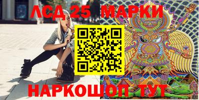 mdpv Кимры