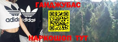 шишки Абакан