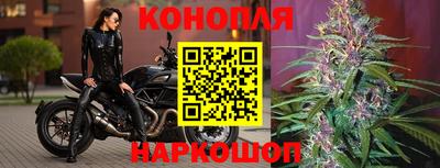 ALPHA PVP Кингисепп