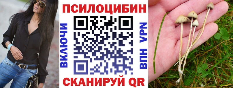 Псилоцибиновые грибы Magic Shrooms  цены наркотик  Дальнереченск 