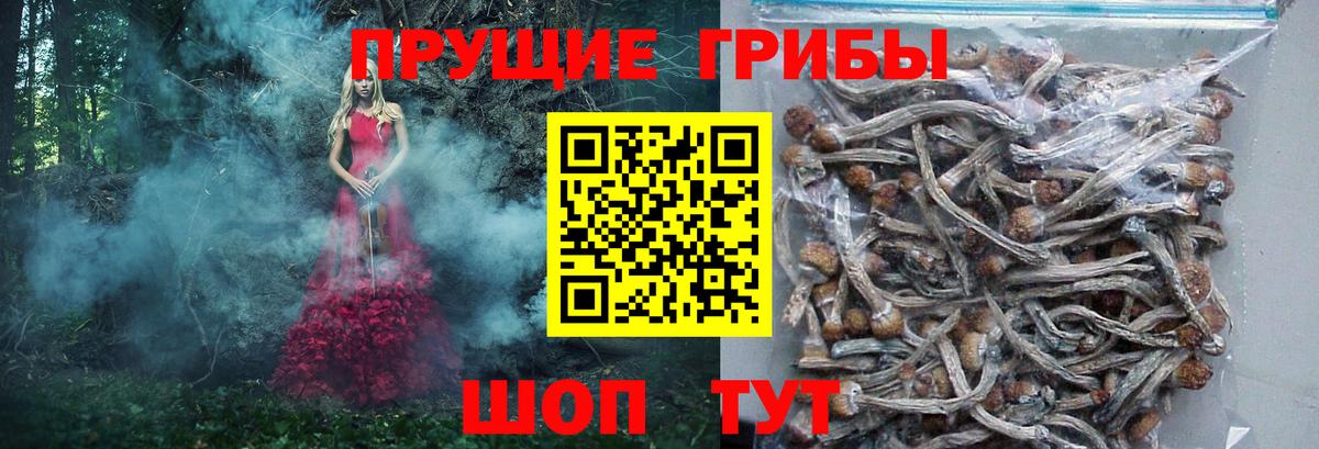Галлюциногенные грибы Magic Shrooms  Дальнереченск 