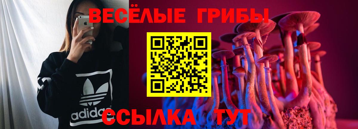 Псилоцибиновые грибы MAGIC MUSHROOMS  Вход с VPN  Дальнереченск 
